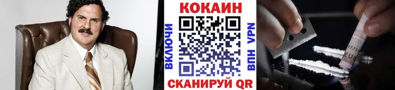Купить закладки  Спасск  КОКАИН FishScale 